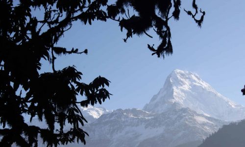 Annapurna (29)
