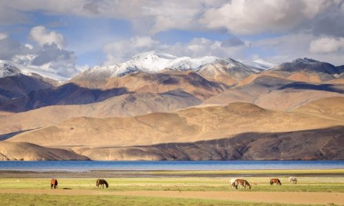 Tso Moriri | Ladakh | indischer Himalaya