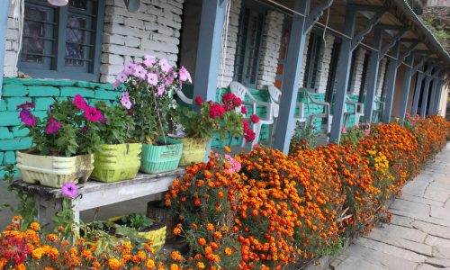 Blumenpracht
