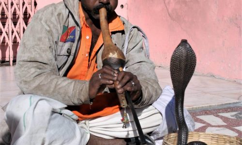 Indien, Rajasthan 2006 (16)