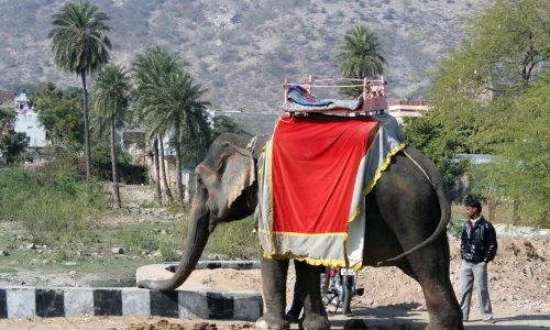 Indien, Rajasthan 2006 (20)