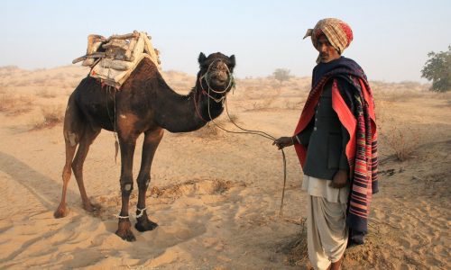 Indien, Rajasthan 2006 (22)