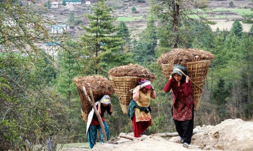 Nepal: Frauen mit schwerer Last