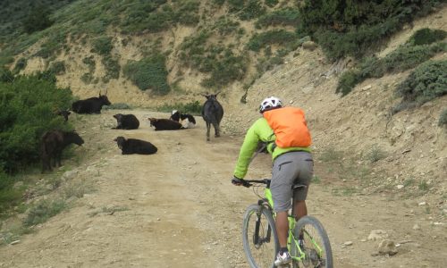 Auf dem Highway ist die Hölle los |  Begegnung in Mustang | MTB Touren in Nepal