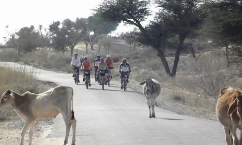 Indien: Fahrradtour durch Rajasthan
