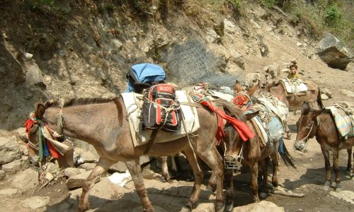 Annapurna Nepal