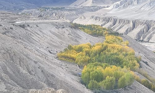 Nepal | Mustang Trek: Bizarre Formationen in Upper Mustang-2
