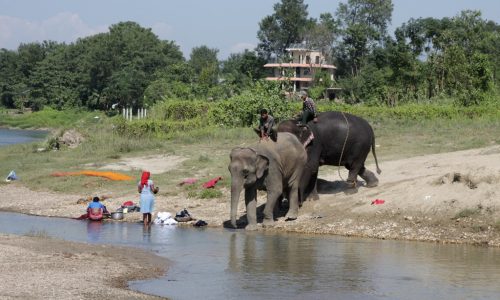 Chitwan Nationalpark