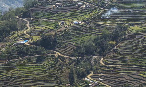 Mardi Himal Trek (15)
