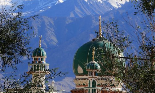 Markha Valley Trek, Ladakh (15)