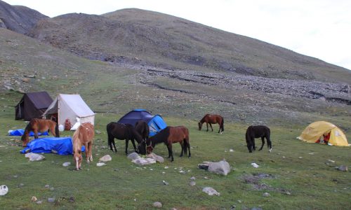 Dzo Jongo Base Camp | Nimaling | Markha Valley Trek