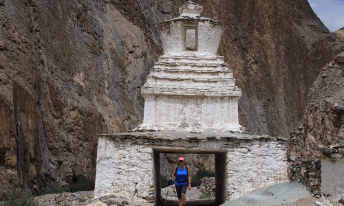 Markha Valley Trek |  Ladakh