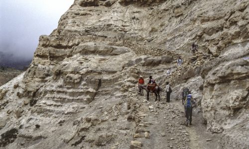 Zwischen Chele und Samar | Mustang | Nepal