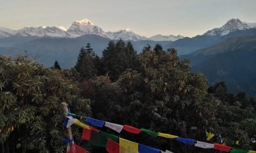 Nepal | Annapurna-Gebiet: Aussichtsberg Poon Hill kurz nach Sonnenaufgang