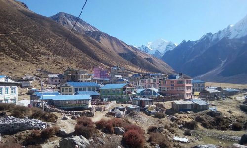 Nepal | Große Langtang-Durchquerung: Blick auf Langtang Village